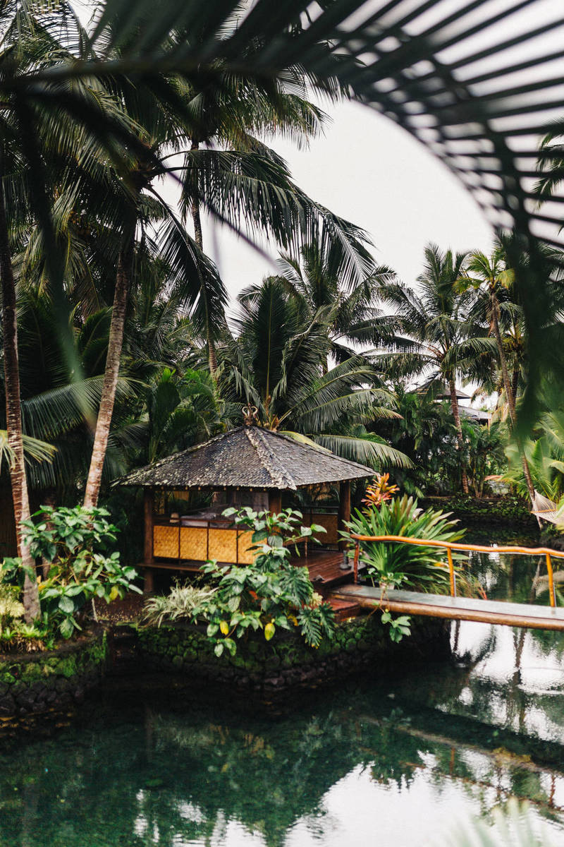 Coronavirus latest: Japan’s Vaccination Rate Tops 75% As Cases Drop