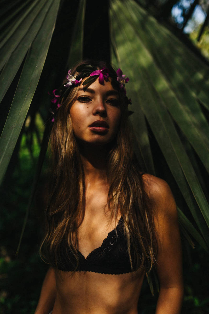 Europe’s biggest solar farm switched on for Shell and Microsoft