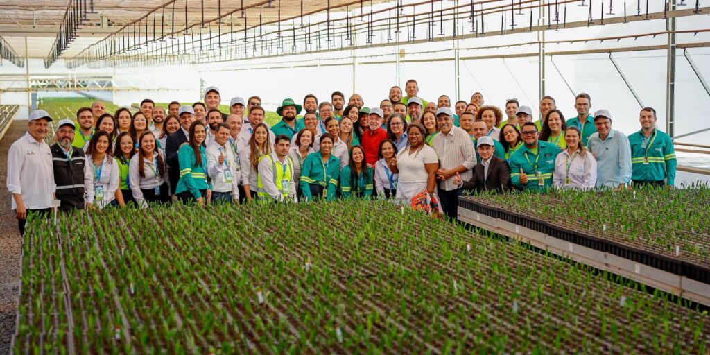 mg-ganha-centro-pioneiro-de-producao-de-biocombustiveis-de-macauba