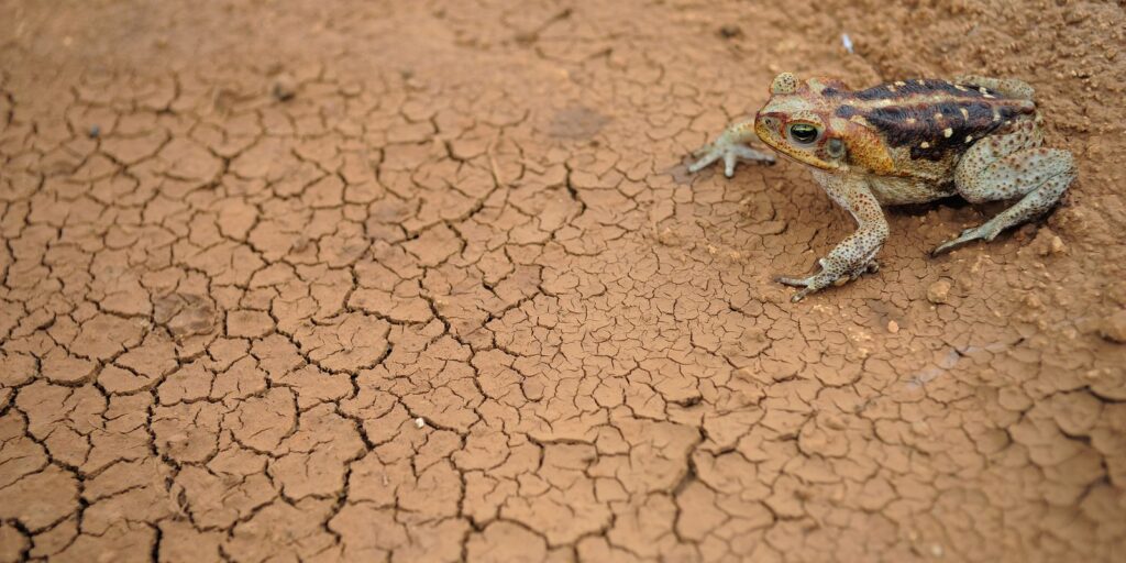 doze-cidades-em-estado-de-emergencia-por-excesso-ou-falta-de-chuva