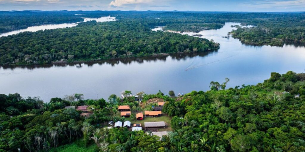 BNDES lança edital voltado para recuperação da floresta amazônia bndes-lanca-edital-voltado-para-recuperacao-da-floresta-amazonia