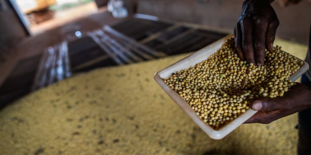 Sorriso, no MT, tem maior PIB agrícola do país; veja o ranking sorriso,-no-mt,-tem-maior-pib-agricola-do-pais;-veja-o-ranking