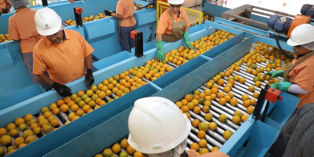 Exportação de produtos atingidos por tarifaço cai 22% em agosto exportacao-de-produtos-atingidos-por-tarifaco-cai-22%-em-agosto