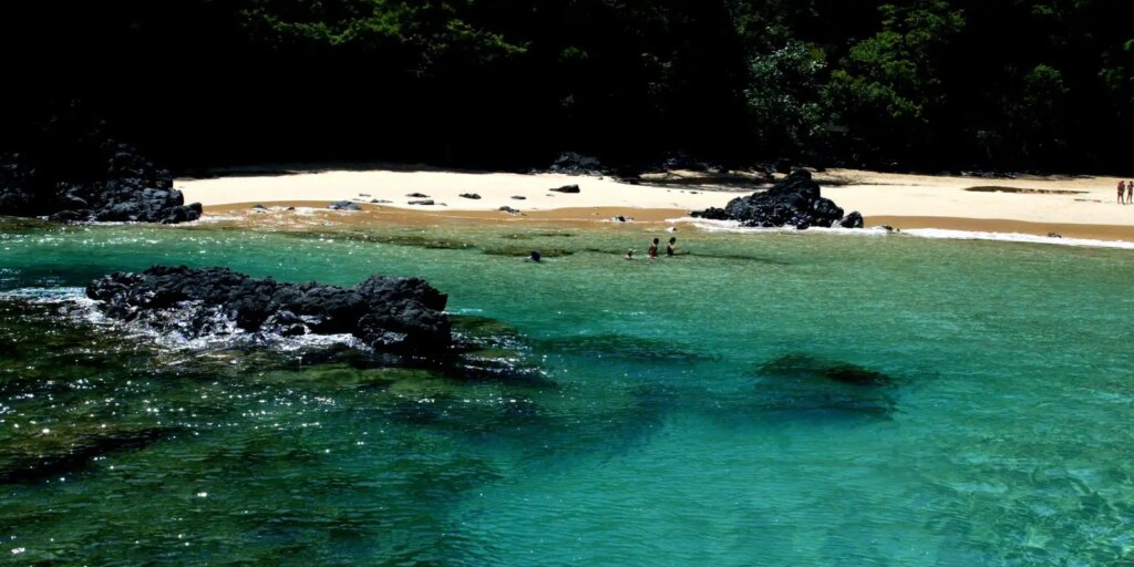 brasileiros-buscam-redes-sociais-para-obter-informacoes-sobre-viagens