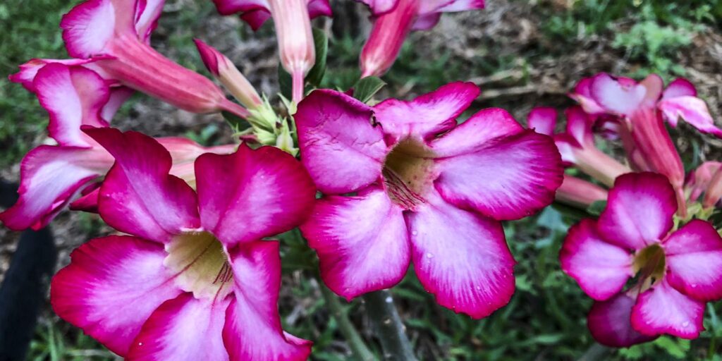 Início da primavera tem previsão de chuvas e frio, aponta Inmet inicio-da-primavera-tem-previsao-de-chuvas-e-frio,-aponta-inmet