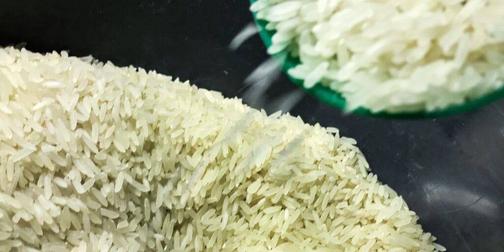 Conab anuncia R$ 300 milhões para produtores de arroz na safra 2025/26 conab-anuncia-r$-300-milhoes-para-produtores-de-arroz-na-safra-2025/26