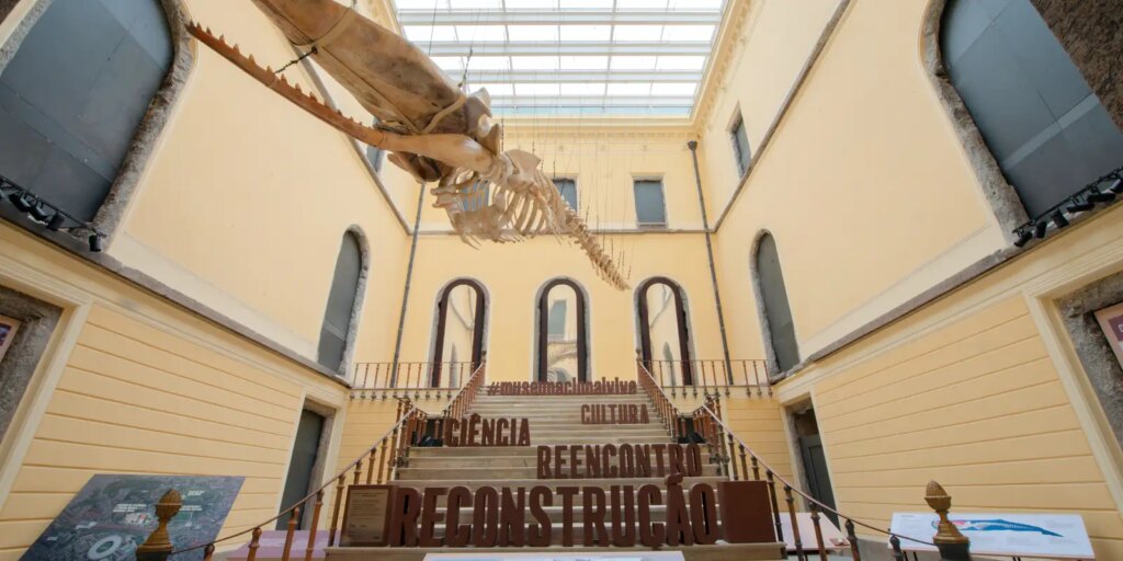 Catálogo inédito do Museu Nacional reúne fotografias históricas catalogo-inedito-do-museu-nacional-reune-fotografias-historicas