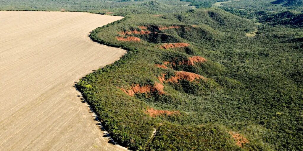 Cerrado perdeu 249 mil hectares de área de rios e lagos em 40 anos cerrado-perdeu-249-mil-hectares-de-area-de-rios-e-lagos-em-40-anos