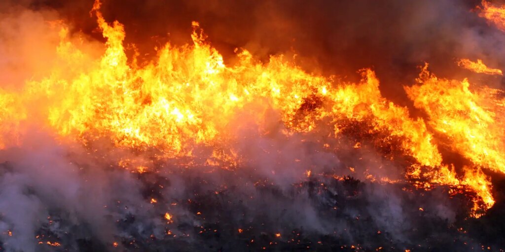 Quatro equipes de brigadistas combatem incêndio em Cavalcante (GO) quatro-equipes-de-brigadistas-combatem-incendio-em-cavalcante-(go)