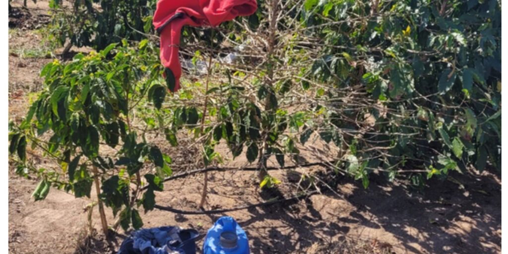 acao-resgata-17-trabalhadores-em-condicoes-analogas-a-escravidao-em-sp