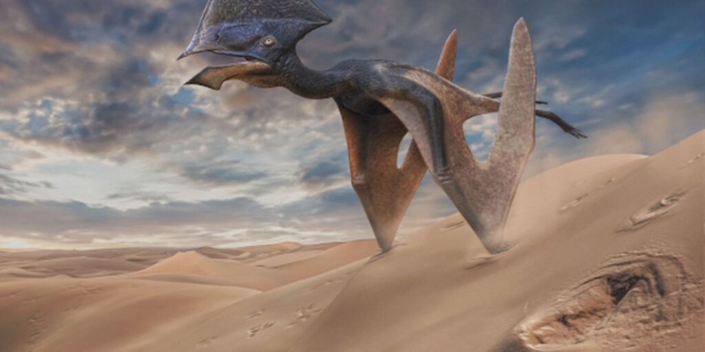 Pesquisadores encontram vestígios de pterossauros no interior de SP pesquisadores-encontram-vestigios-de-pterossauros-no-interior-de-sp