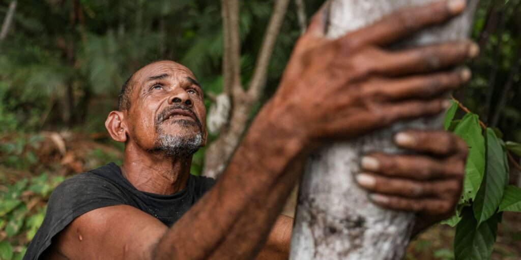 projeto-transforma-areas-de-queimada-em-producao-sustentavel-no-marajo