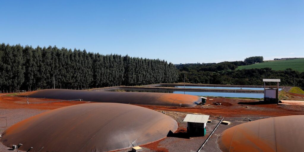 Pesquisa mostra que Brasil pode dobrar produção de bionergia até 2050 pesquisa-mostra-que-brasil-pode-dobrar-producao-de-bionergia-ate-2050