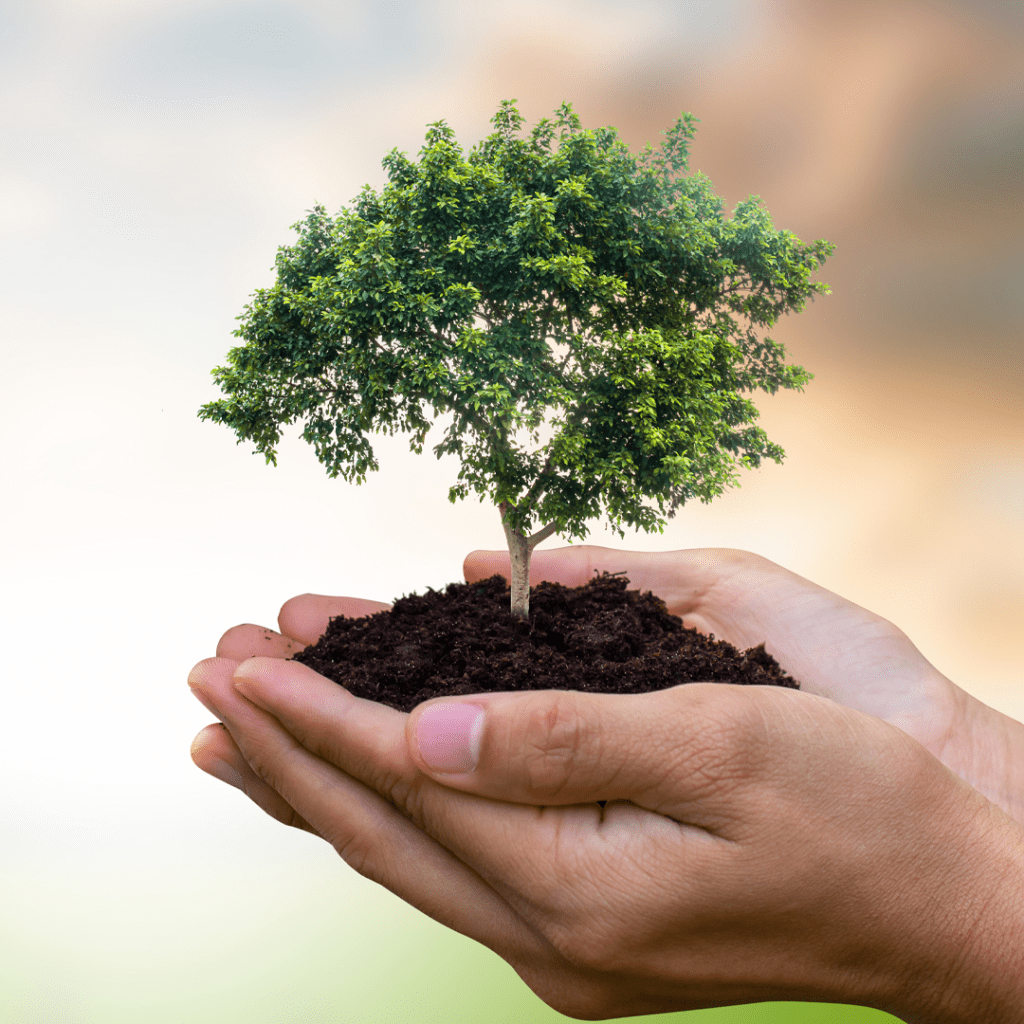 Municípios podem assinar compromissos ambientais e sociais até a COP30